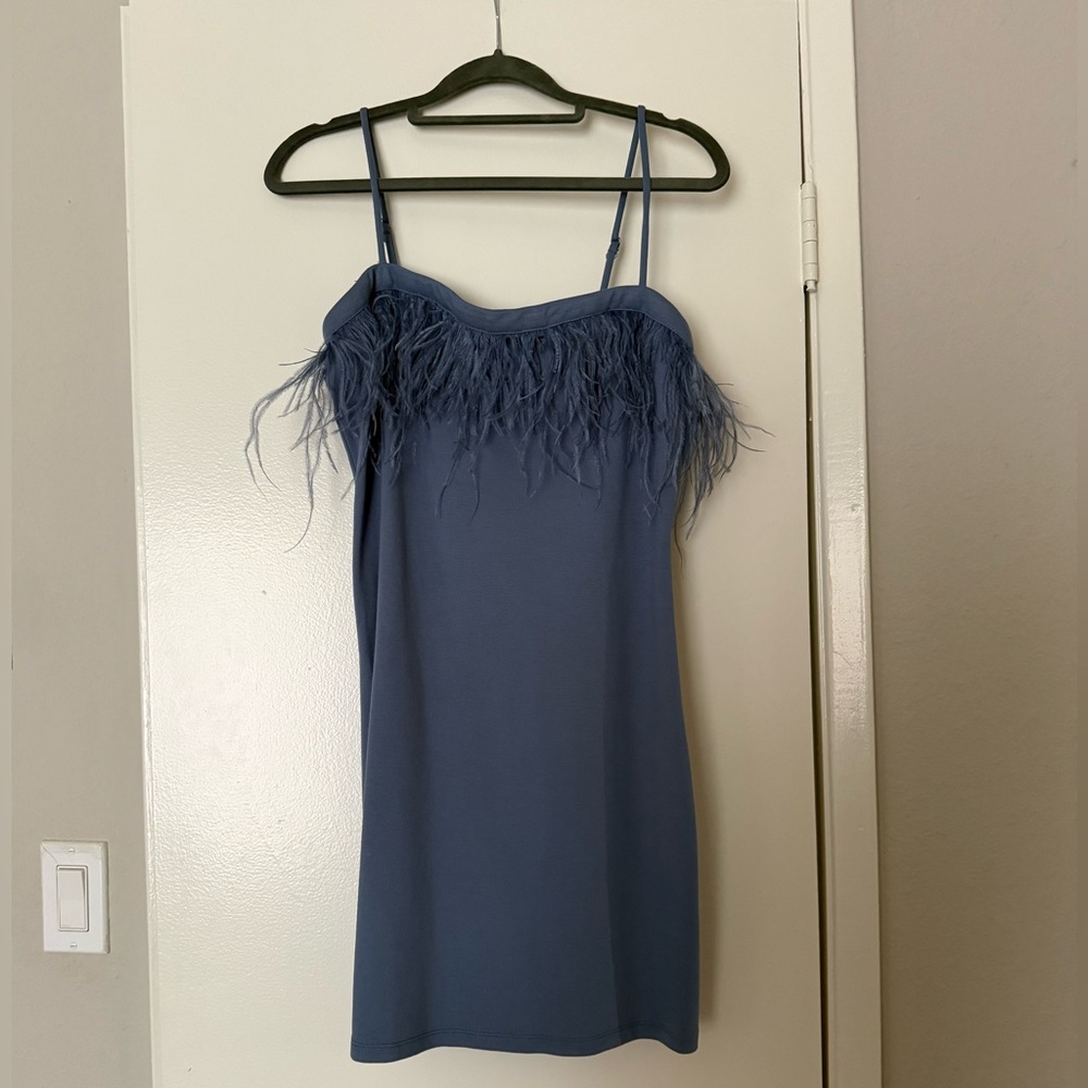 Wild Fable Blue Feather-Trim Dress